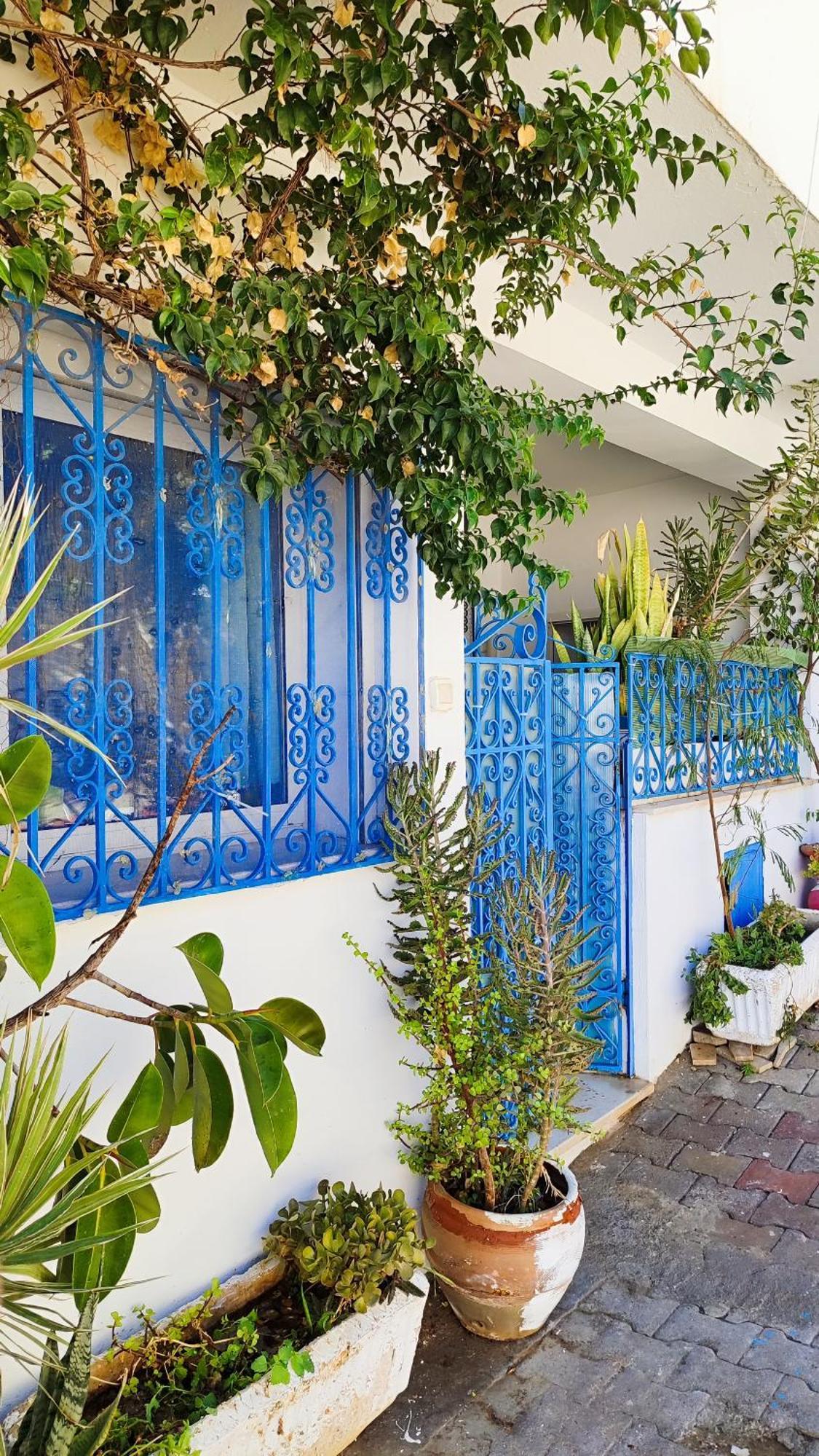 Cosy Appartement In "Sidi Bou Said" Exteriér fotografie
