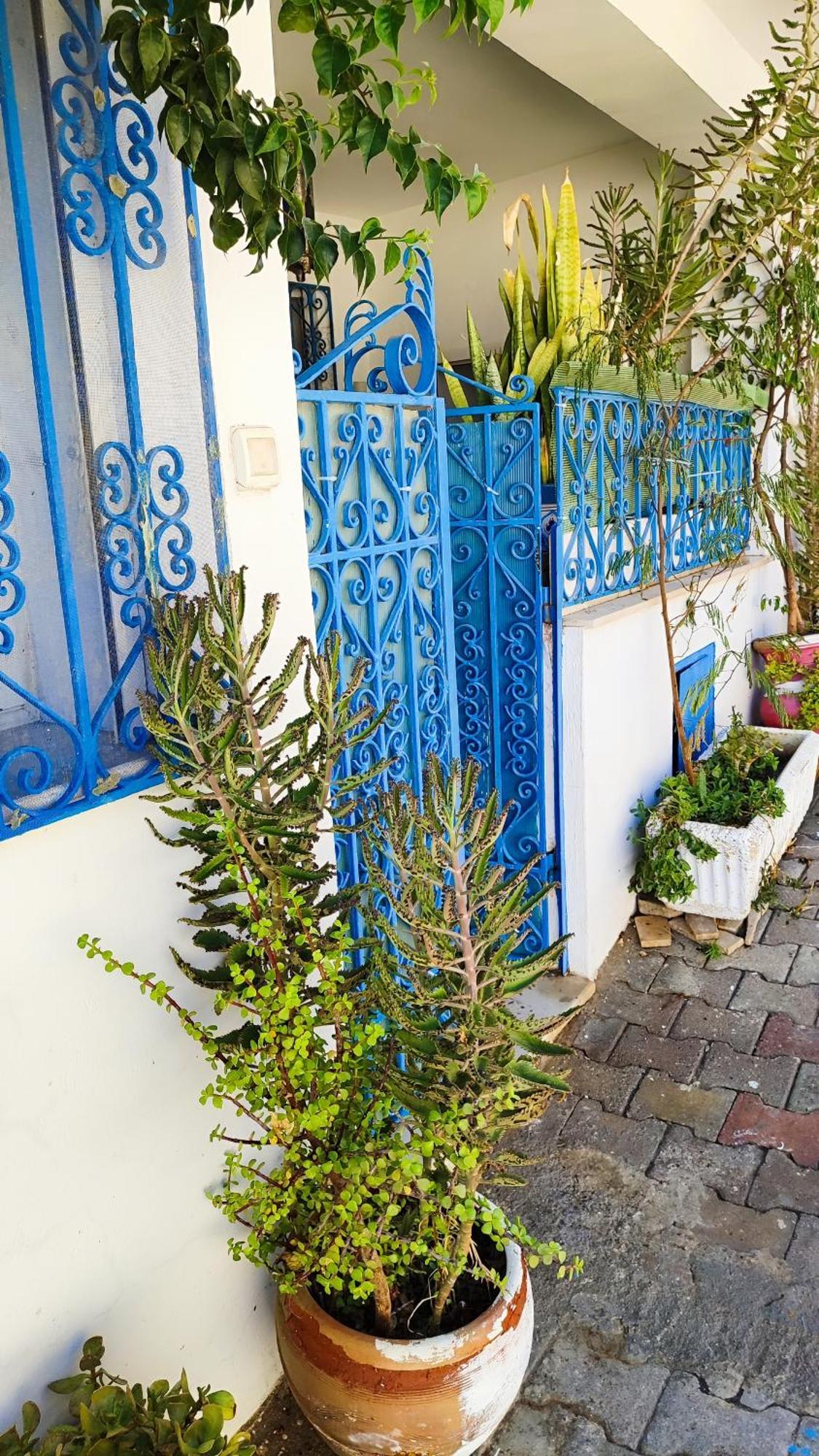 Cosy Appartement In "Sidi Bou Said" Exteriér fotografie